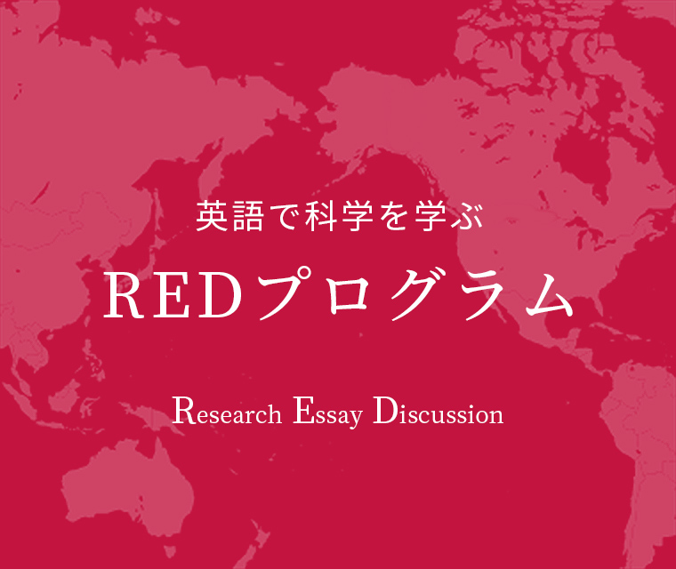 REDプログラム